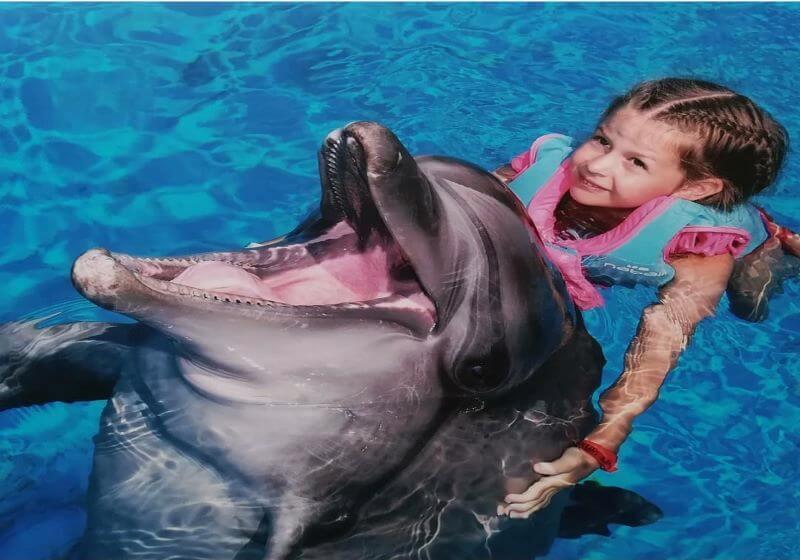Dolphin Swim Experience