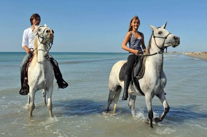 Horse Riding